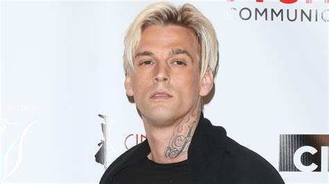 aaron carter vermögen|Aaron Carter Net Worth: How Much He Made Before Death